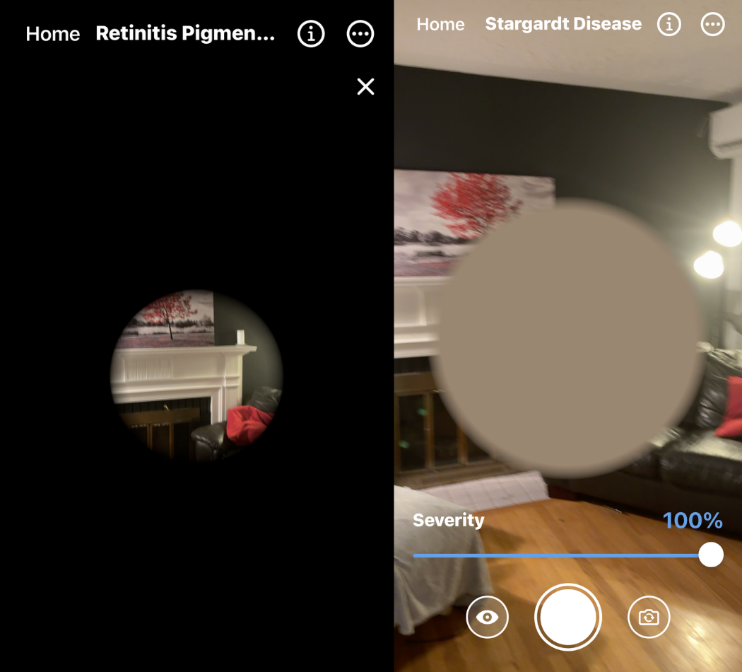 Demo of As I See it technology.